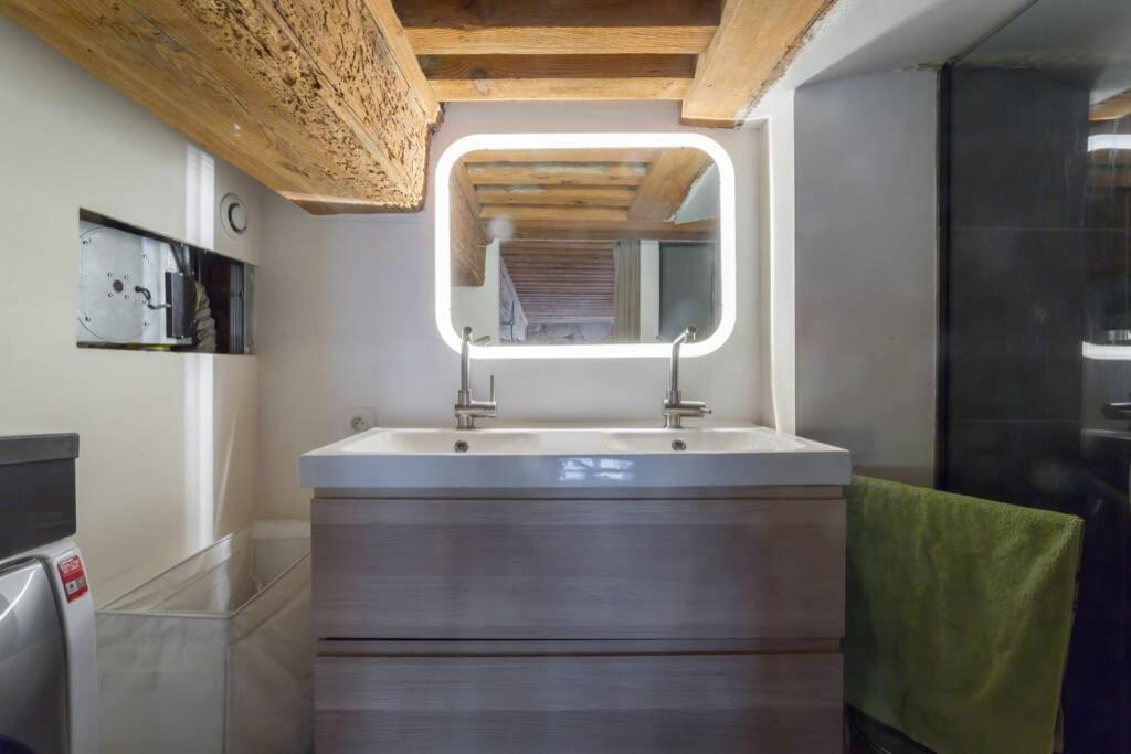 リヨンDuplex Le Voraceアパートメント エクステリア 写真
