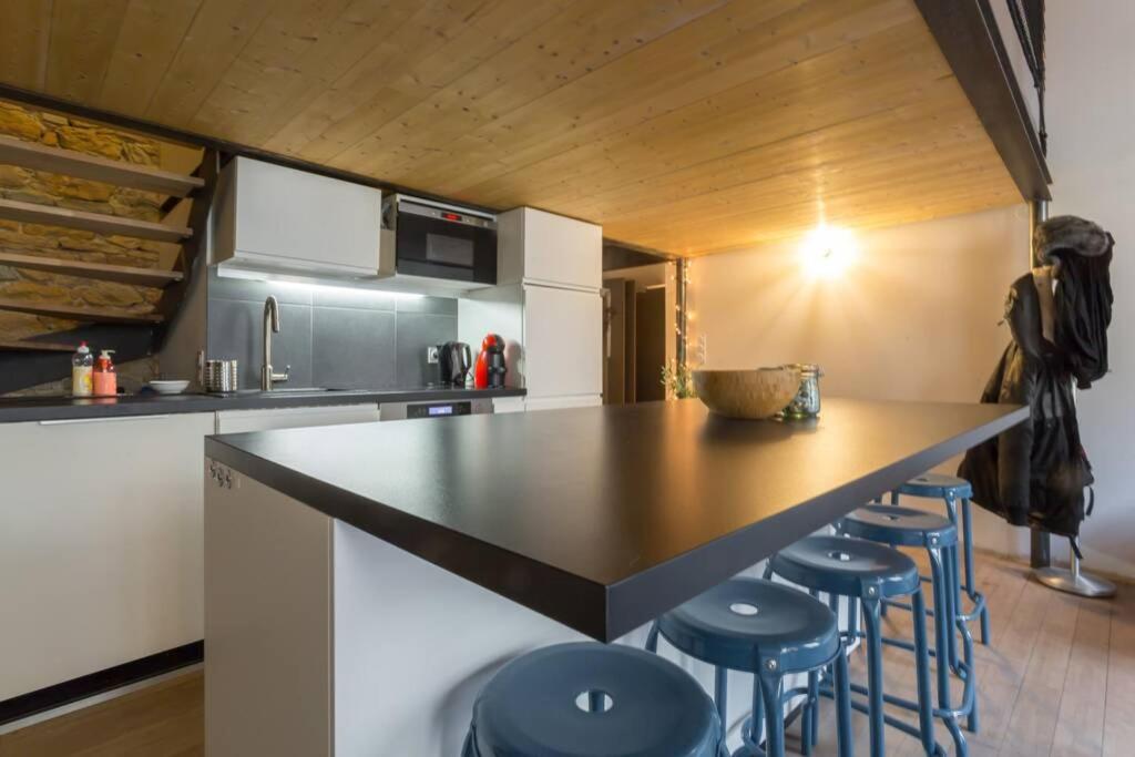 リヨンDuplex Le Voraceアパートメント エクステリア 写真