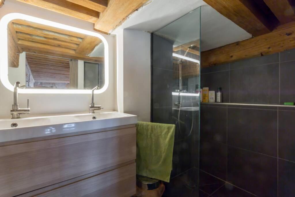 リヨンDuplex Le Voraceアパートメント エクステリア 写真