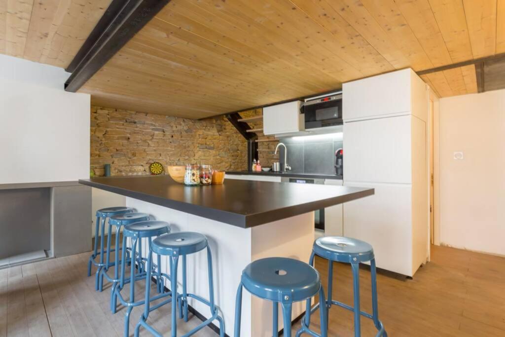 リヨンDuplex Le Voraceアパートメント エクステリア 写真